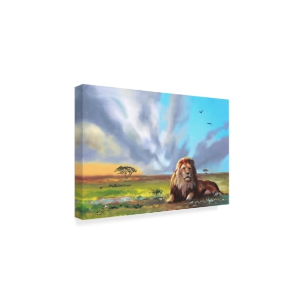 D Rusty Rust 'Lion Under Clouds' Canvas Art,12x19